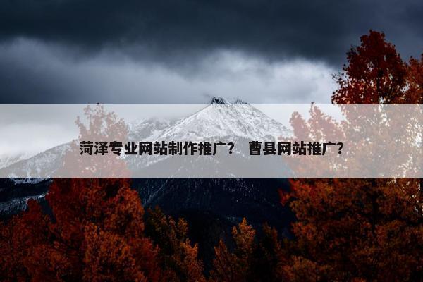菏泽专业网站制作推广？ 曹县网站推广？