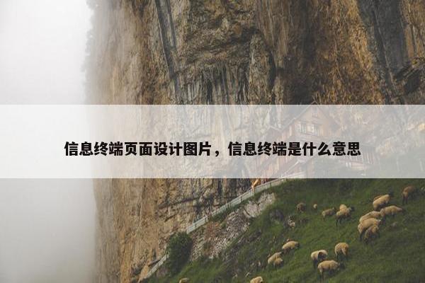 信息终端页面设计图片，信息终端是什么意思