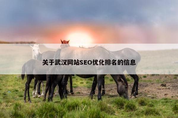 关于武汉网站SEO优化排名的信息
