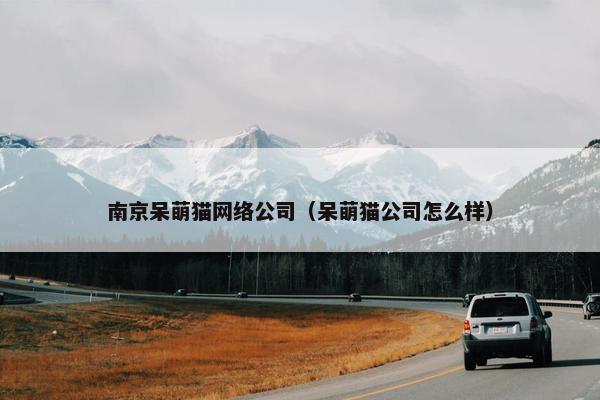 南京呆萌猫网络公司（呆萌猫公司怎么样）