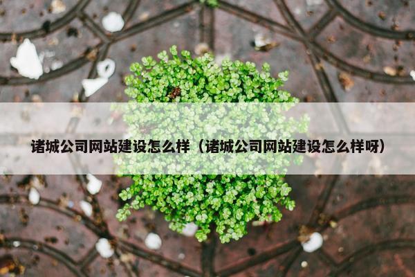 诸城公司网站建设怎么样（诸城公司网站建设怎么样呀）