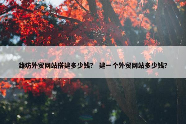 潍坊外贸网站搭建多少钱？ 建一个外贸网站多少钱？