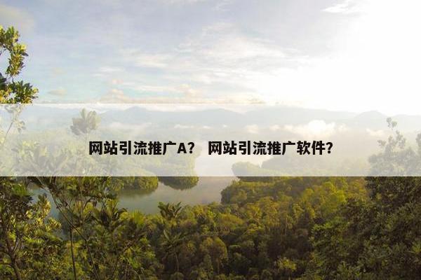 网站引流推广A？ 网站引流推广软件？