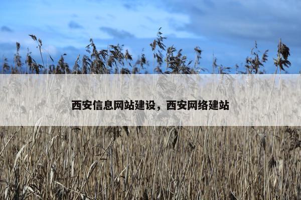 西安信息网站建设，西安网络建站