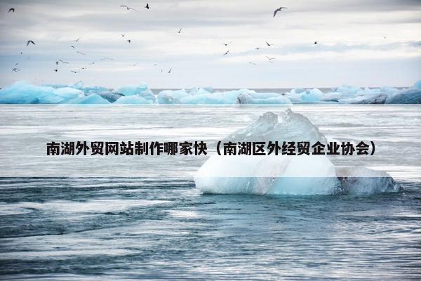 南湖外贸网站制作哪家快（南湖区外经贸企业协会）