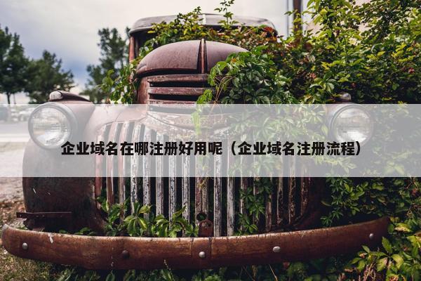 企业域名在哪注册好用呢（企业域名注册流程）
