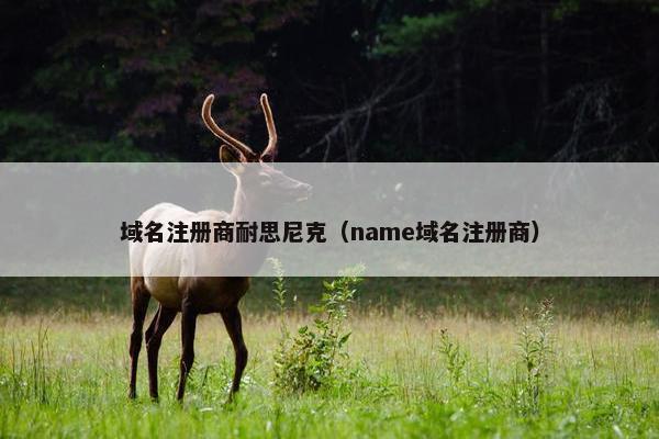 域名注册商耐思尼克（name域名注册商）