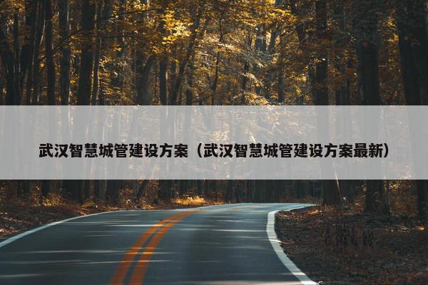武汉智慧城管建设方案（武汉智慧城管建设方案最新）