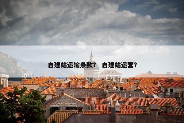 自建站运输条款？ 自建站运营？
