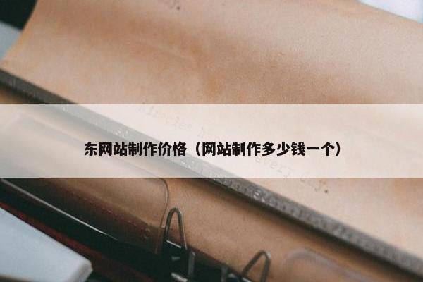 东网站制作价格（网站制作多少钱一个）
