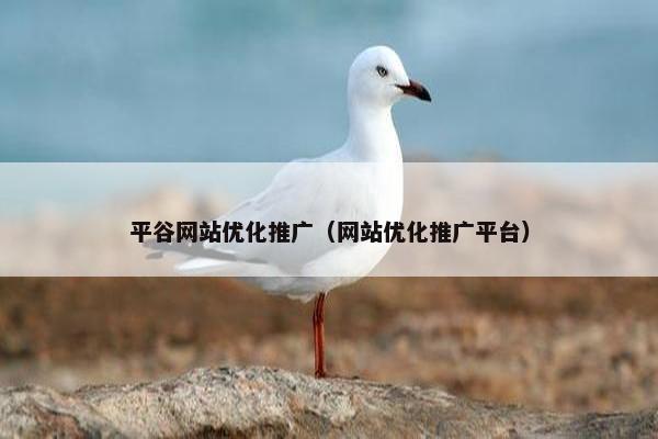 平谷网站优化推广（网站优化推广平台）