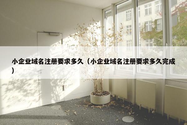 小企业域名注册要求多久（小企业域名注册要求多久完成）