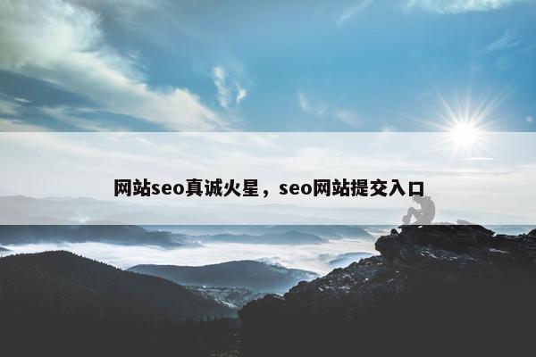 网站seo真诚火星，seo网站提交入口