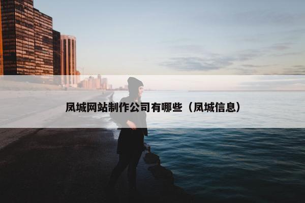 凤城网站制作公司有哪些（凤城信息）