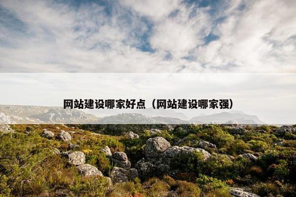 网站建设哪家好点（网站建设哪家强）