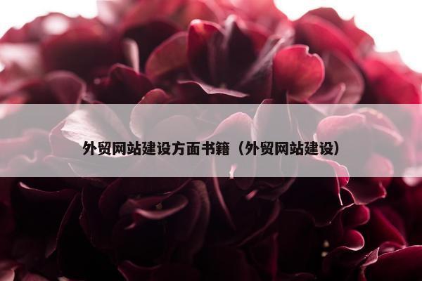 外贸网站建设方面书籍（外贸网站建设）