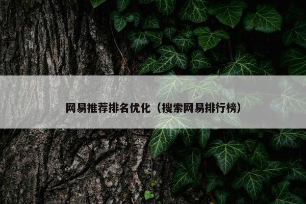 网易推荐排名优化（搜索网易排行榜）