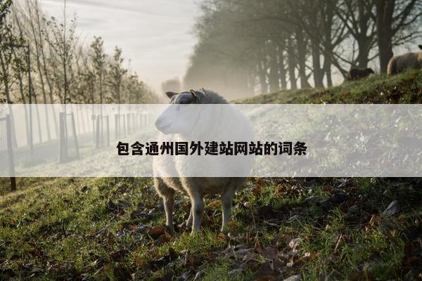 包含通州国外建站网站的词条