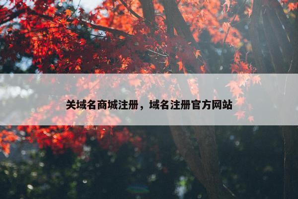 关域名商城注册，域名注册官方网站