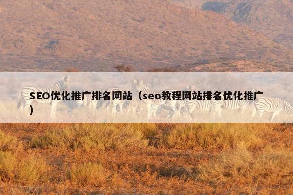 SEO优化推广排名网站（seo教程网站排名优化推广）