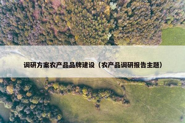 调研方案农产品品牌建设（农产品调研报告主题）