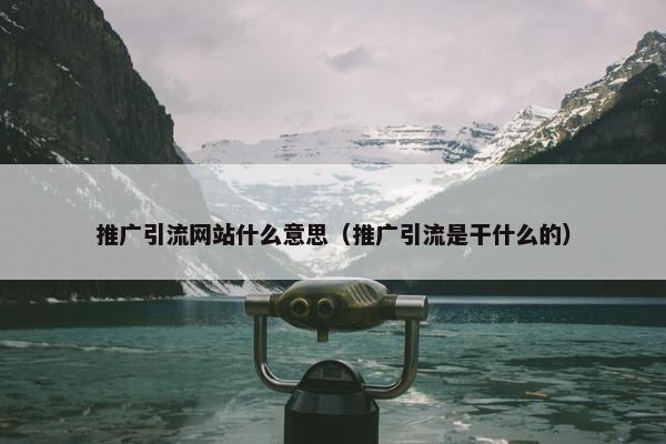推广引流网站什么意思（推广引流是干什么的）