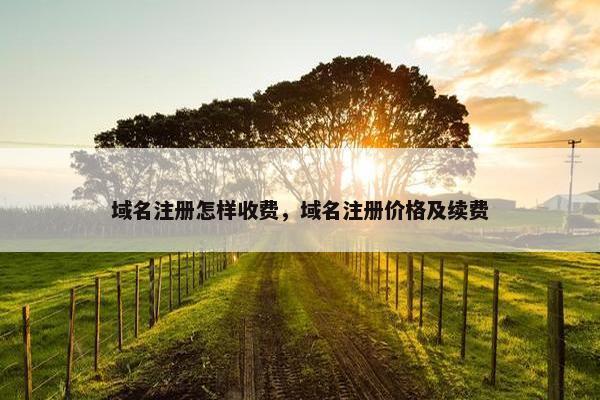 域名注册怎样收费，域名注册价格及续费
