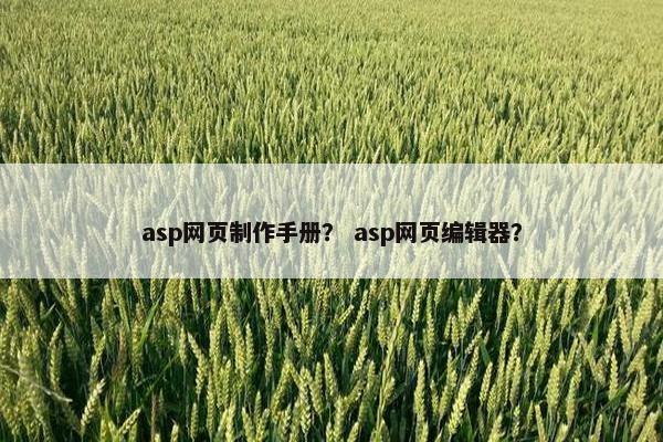 asp网页制作手册？ asp网页编辑器？