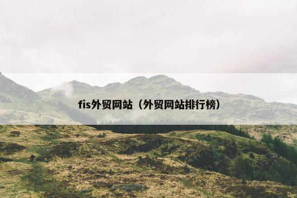 fis外贸网站（外贸网站排行榜）