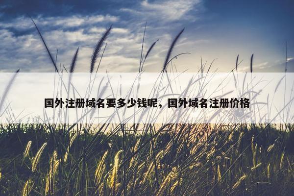 国外注册域名要多少钱呢，国外域名注册价格
