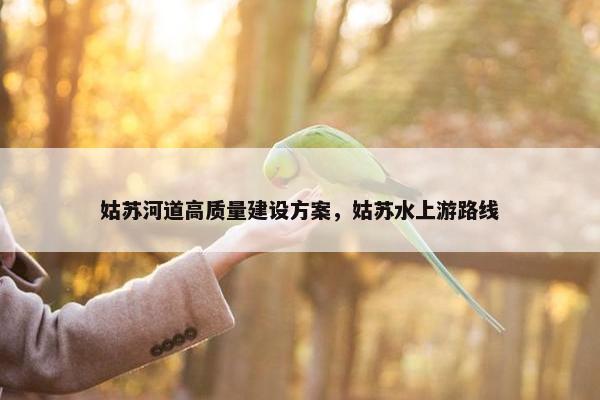 姑苏河道高质量建设方案，姑苏水上游路线