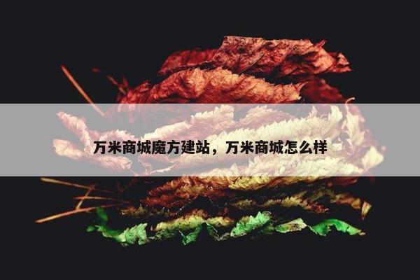 万米商城魔方建站，万米商城怎么样