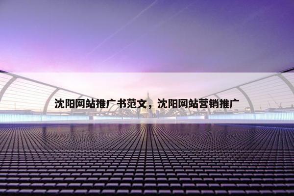 沈阳网站推广书范文，沈阳网站营销推广