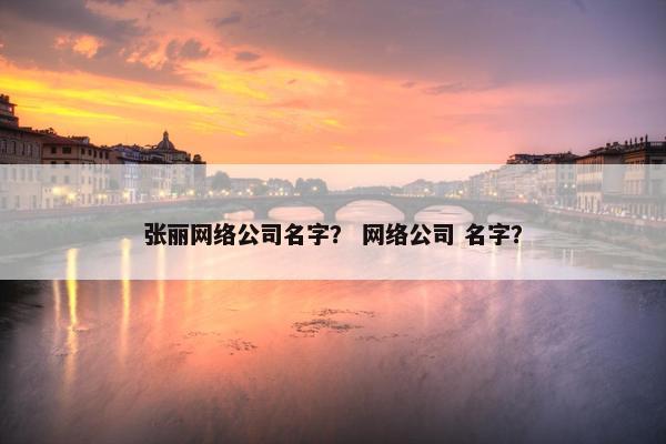 张丽网络公司名字？ 网络公司 名字？