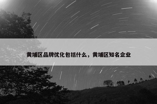 黄埔区品牌优化包括什么，黄埔区知名企业