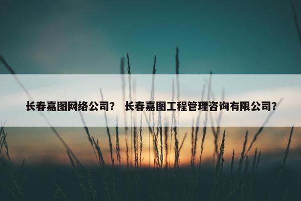长春嘉图网络公司？ 长春嘉图工程管理咨询有限公司？