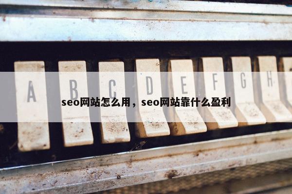 seo网站怎么用，seo网站靠什么盈利