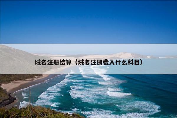 域名注册结算（域名注册费入什么科目）