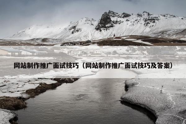 网站制作推广面试技巧（网站制作推广面试技巧及答案）