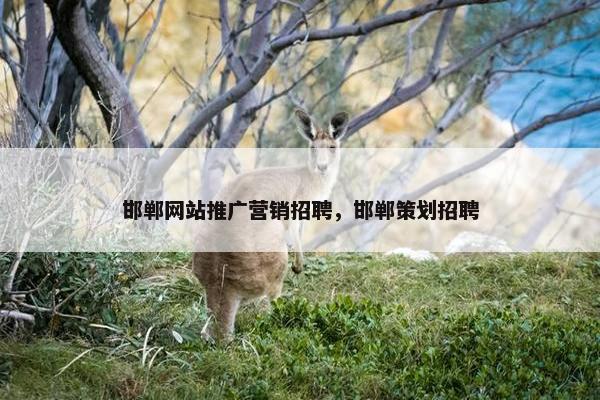 邯郸网站推广营销招聘，邯郸策划招聘