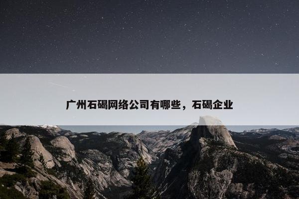 广州石碣网络公司有哪些，石碣企业