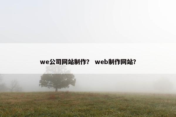 we公司网站制作？ web制作网站？