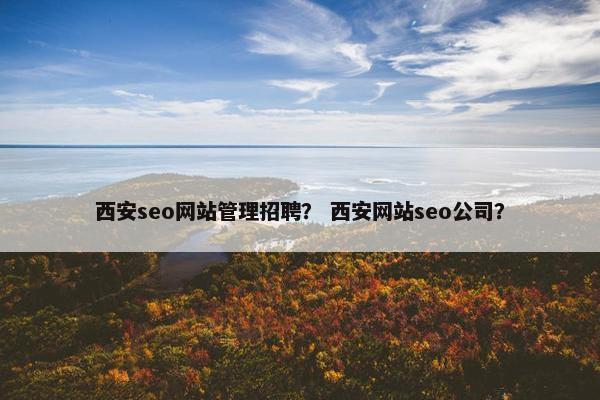 西安seo网站管理招聘？ 西安网站seo公司？
