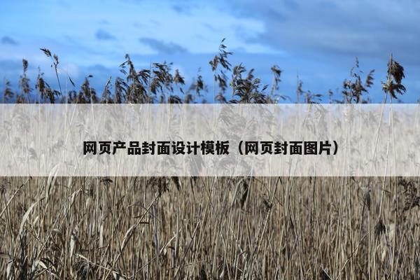 网页产品封面设计模板（网页封面图片）
