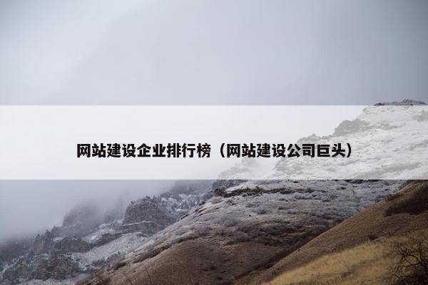 网站建设企业排行榜（网站建设公司巨头）