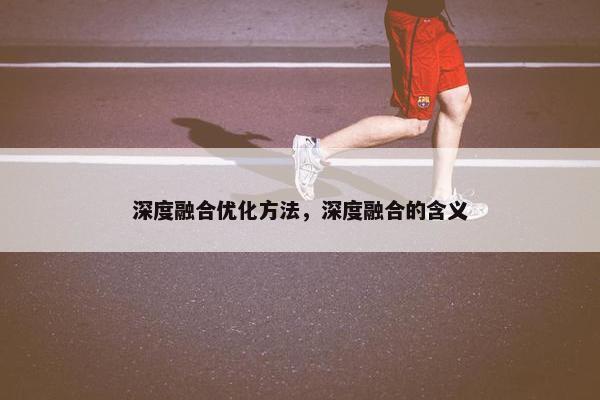 深度融合优化方法，深度融合的含义