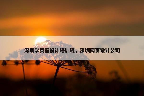 深圳学页面设计培训班，深圳网页设计公司
