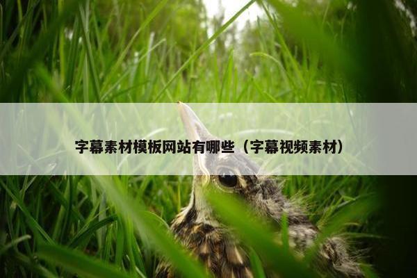 字幕素材模板网站有哪些（字幕视频素材）