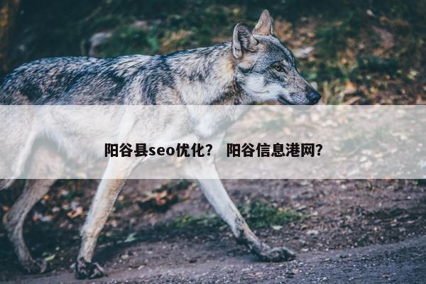 阳谷县seo优化？ 阳谷信息港网？