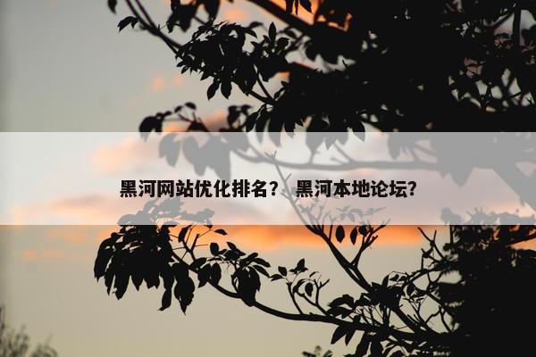 黑河网站优化排名？ 黑河本地论坛？